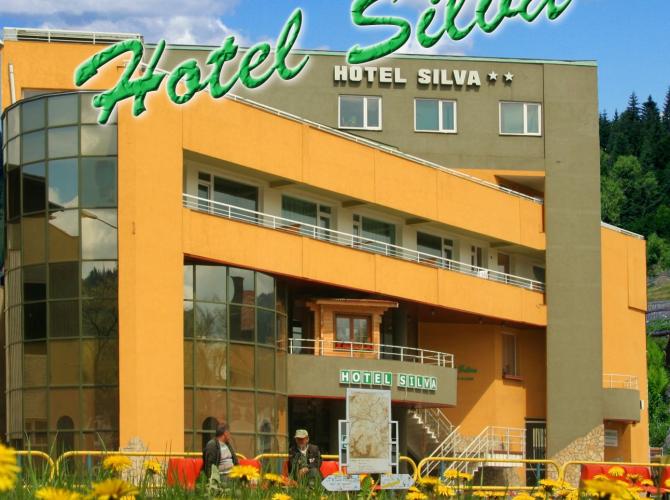 Hotel Silva